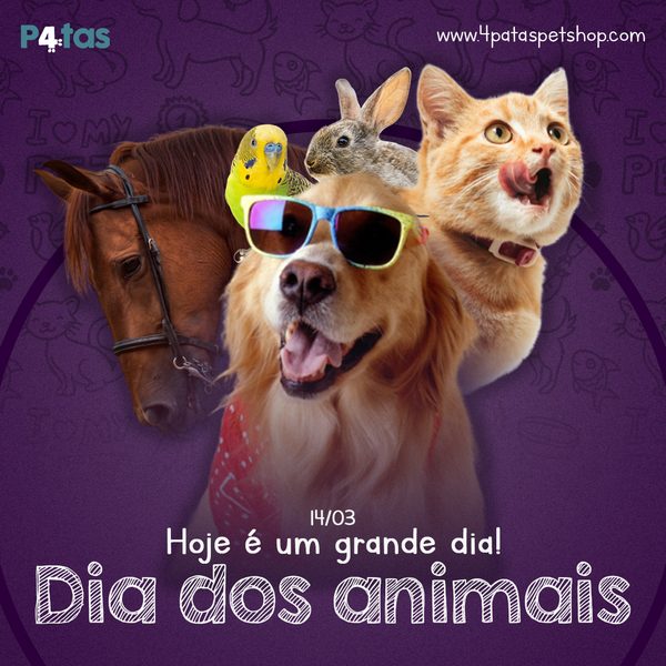 Post 1 de 4 Patas