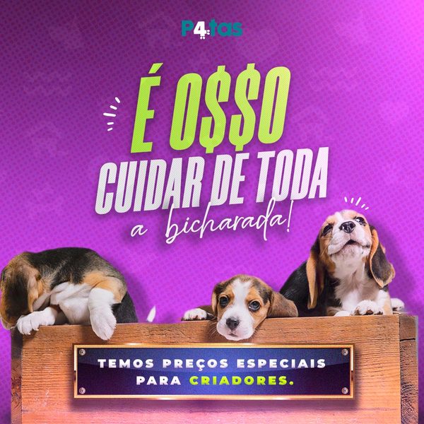 Post 2 de 4 Patas