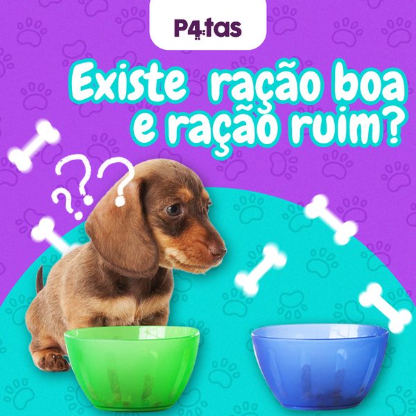 Post 3 de 4 Patas
