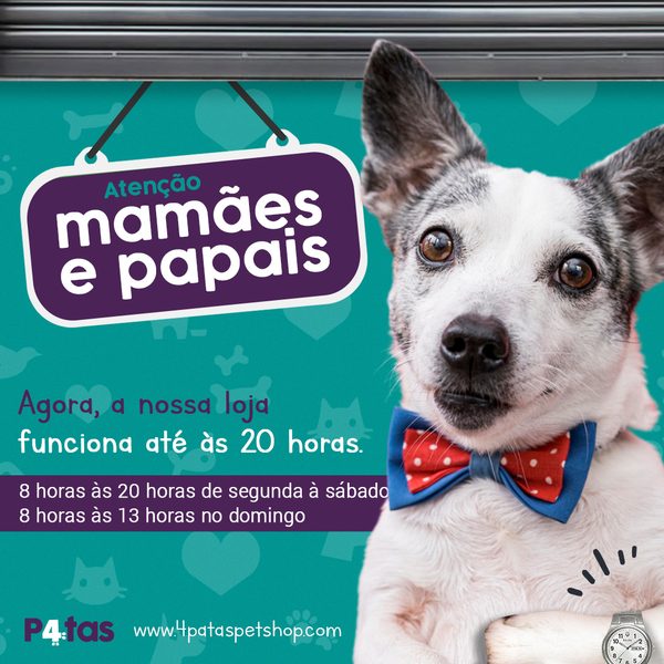 Post 5 de 4 Patas