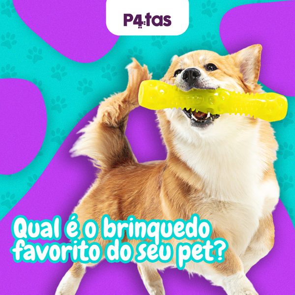 Post 6 de 4 Patas