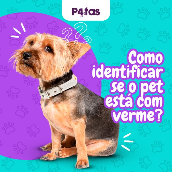 Post 8 de 4 Patas