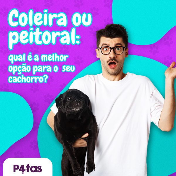 Post 9 de 4 Patas