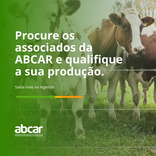 Post 1 de ABCAR