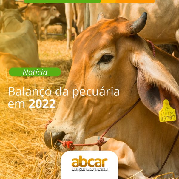 Post 2 de ABCAR