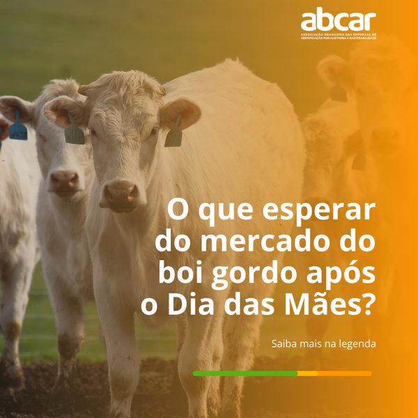 Post 8 de ABCAR
