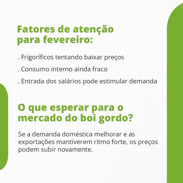 Boi gordo: janeiro fechou positivo, mas o que esperar de fevereiro?, slide 3 de 4
