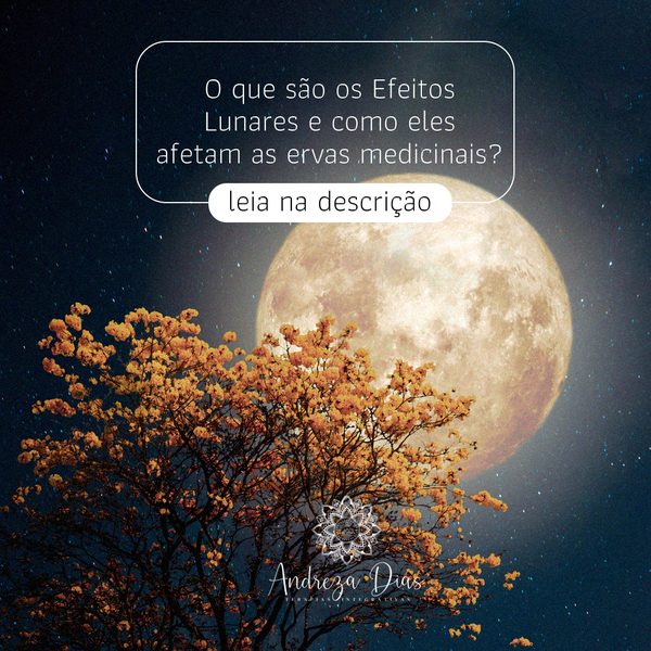 Post 2 de Andreza Dias