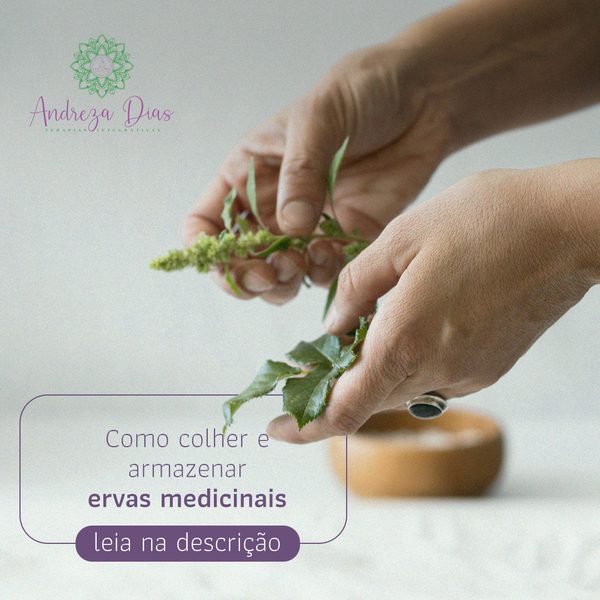 Post 3 de Andreza Dias
