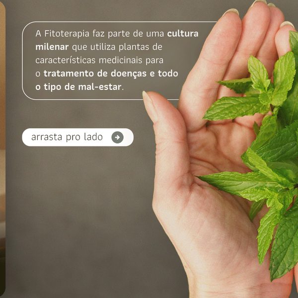 Fitoterapia: quando e como utilizar?, slide 2 de 5