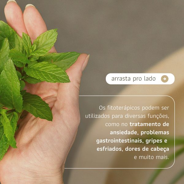 Fitoterapia: quando e como utilizar?, slide 3 de 5