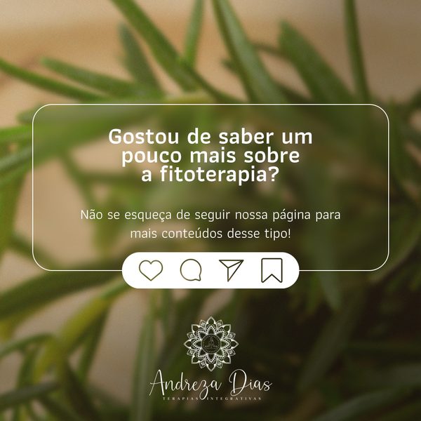 Fitoterapia: quando e como utilizar?, slide 5 de 5