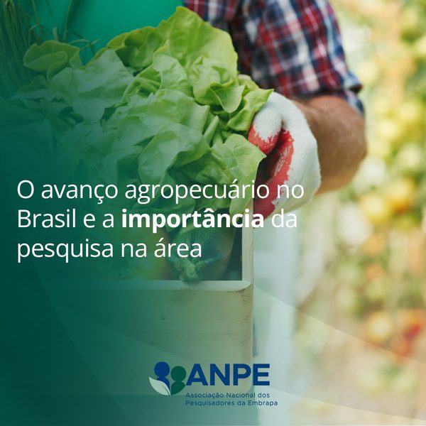 Post 2 de ANPE