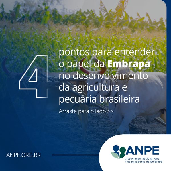 4 pontos para entender o papel da Embrapa no desenvolvimento da agricultura e pecuária brasileira, slide 1 de 6