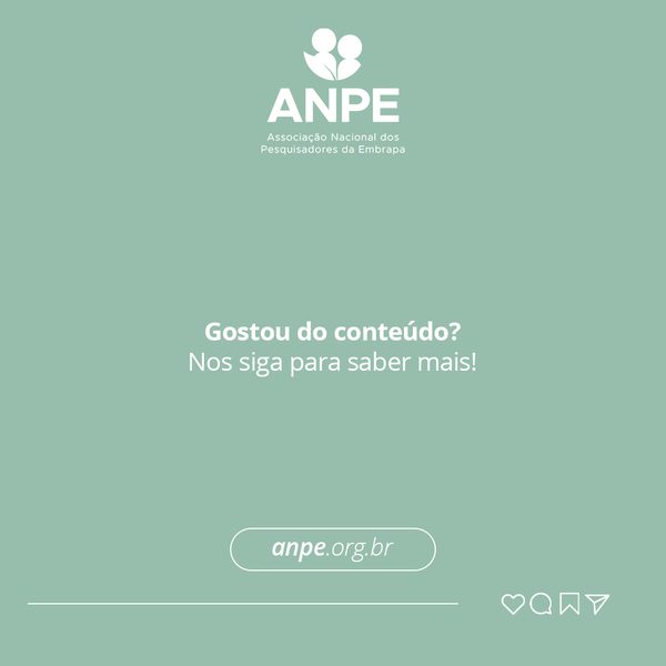 4 pontos para entender o papel da Embrapa no desenvolvimento da agricultura e pecuária brasileira, slide 6 de 6