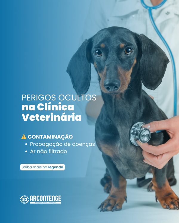 Post 5 de Arcontenge