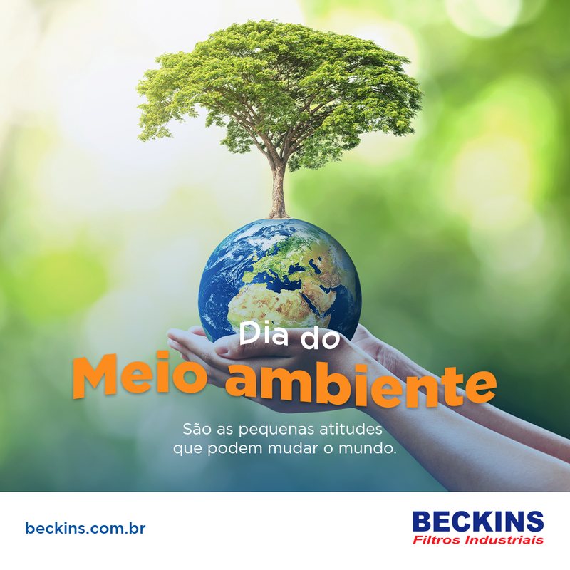 Post 6 de Beckins