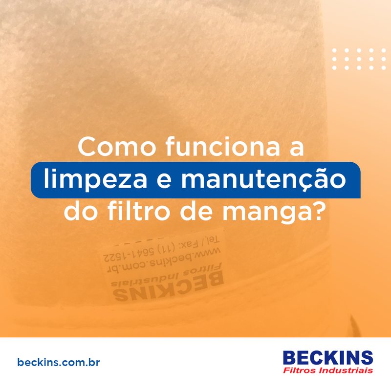 Post 8 de Beckins
