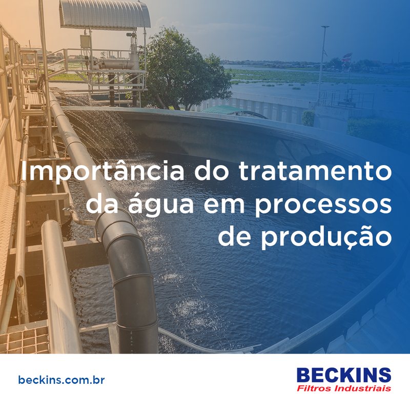 Post 12 de Beckins