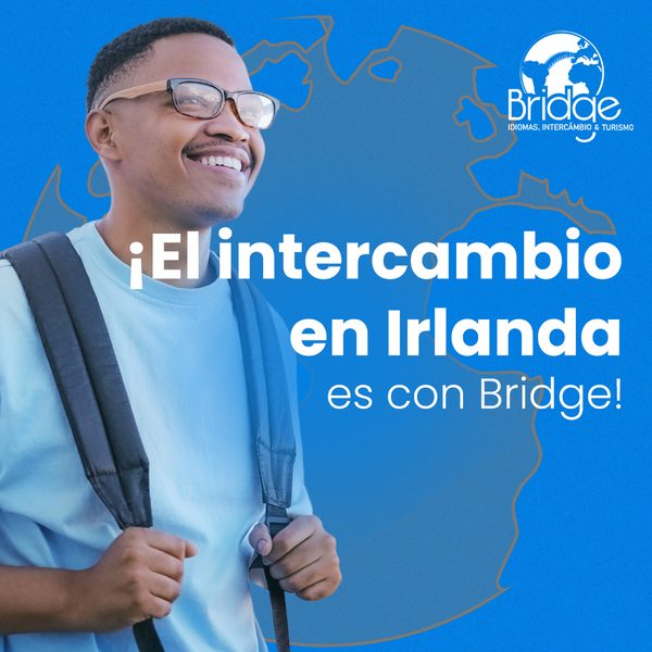 Post 1 de Bridge