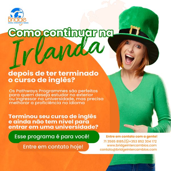 Post 3 de Bridge