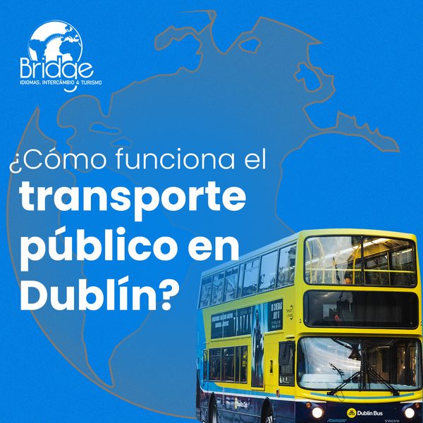 Post 7 de Bridge