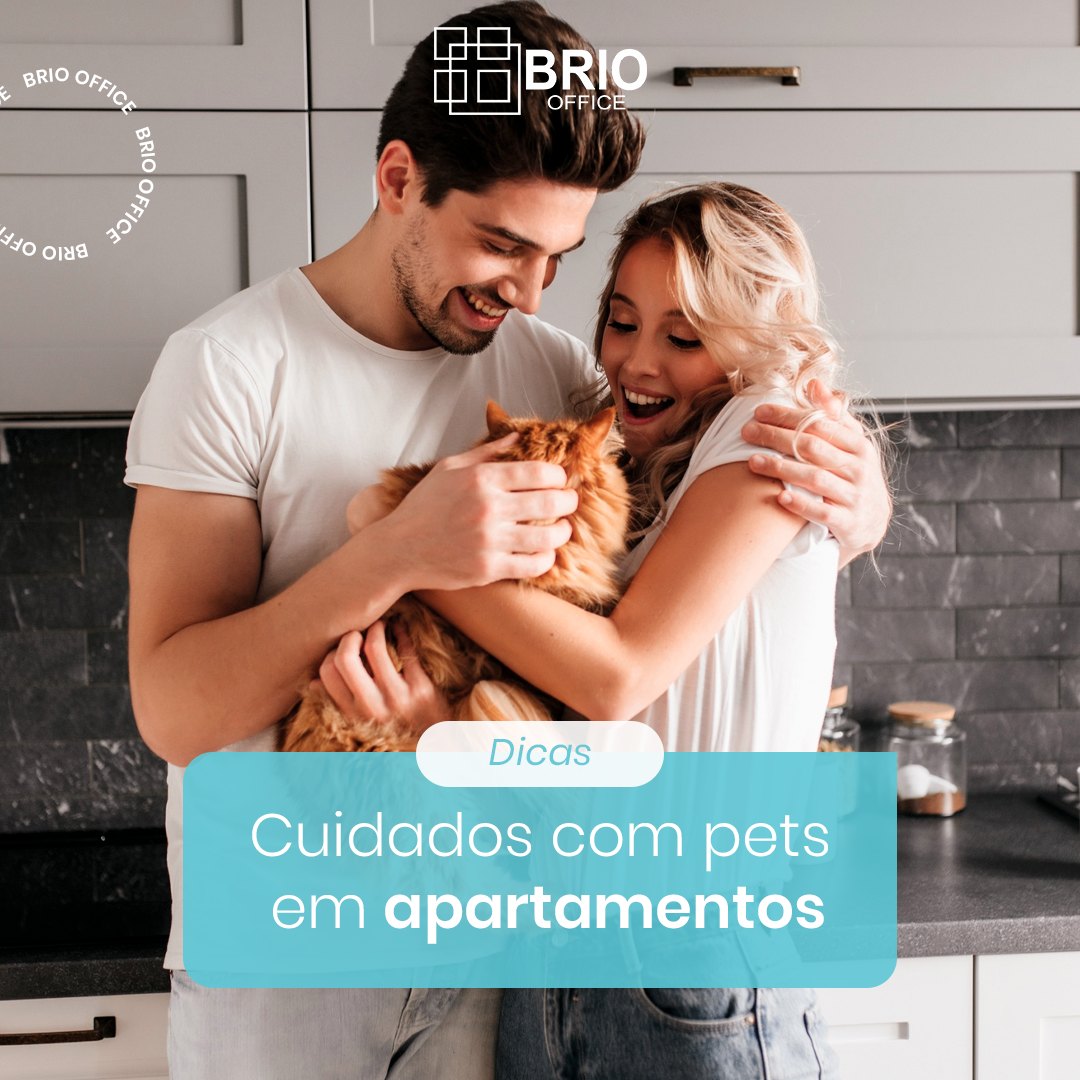 Post 11 de Brio Office