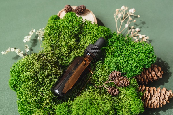 Entendendo Marketing Sustentável Entendendo Marketing Sustentável