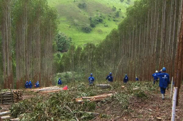 Marketing Digital para empresa de Construção: Brazabe